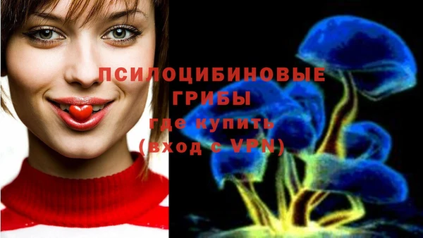 героин Елабуга