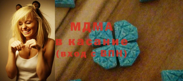 амф Ельня