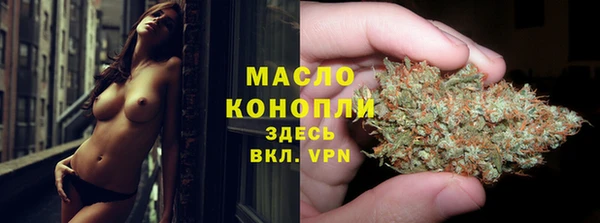амф Ельня