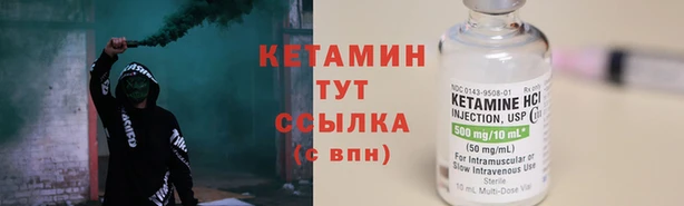 амф Ельня
