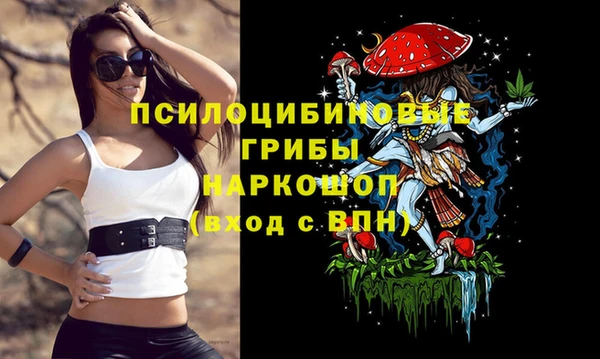 амф Ельня