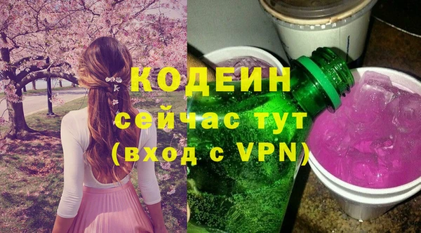 амф Ельня