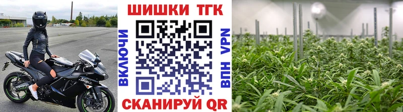 Купить закладки  Цивильск  Каннабис VHQ 